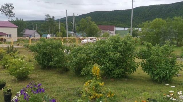 Школа Взморье смотреть онлайн