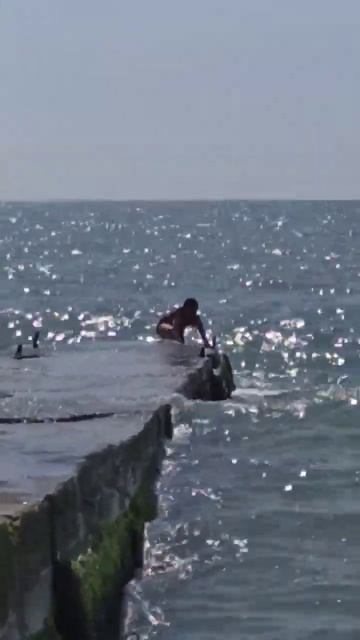 21.05.2023 Девушка-русалка #top #reels #красиво #сочи #море #sochi #адлер #shorts #кайф #девушка смотреть онлайн