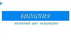 6 класс - Биология -  Жизненный цикл Хвощевидных