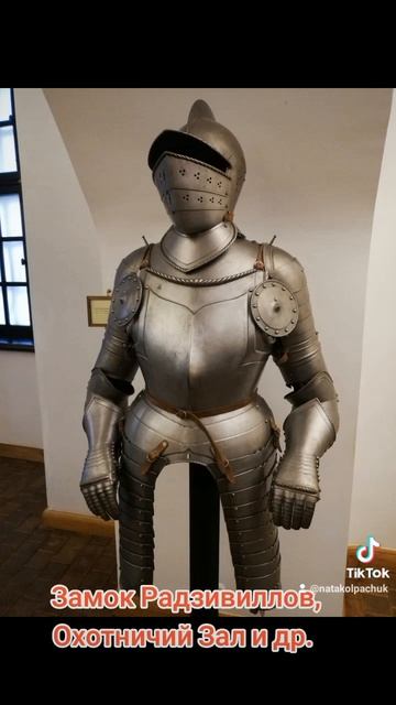 Несвижский Замок #достопримечательностибеларуси #замкибеларуси #музеибеларуси #несвиж #беларусь смотреть онлайн