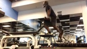 Training Mask DB step up