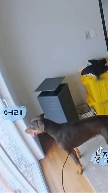 JK with bam cute HAHA part44 смотреть онлайн