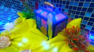 Щенячий патруль и Русалка спасают рыбку - Сундук русалки - Видео для детей