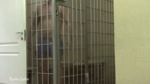 Нетрезвый бык в обезьяннике.