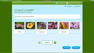 На клумбах... | Окр. мир 1 класс "Что растёт на клумбе?"