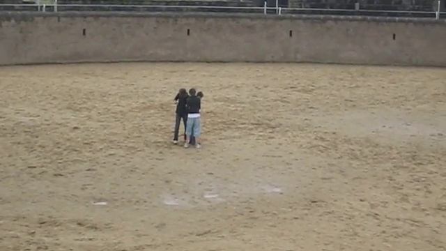 Xanten Arena смотреть онлайн