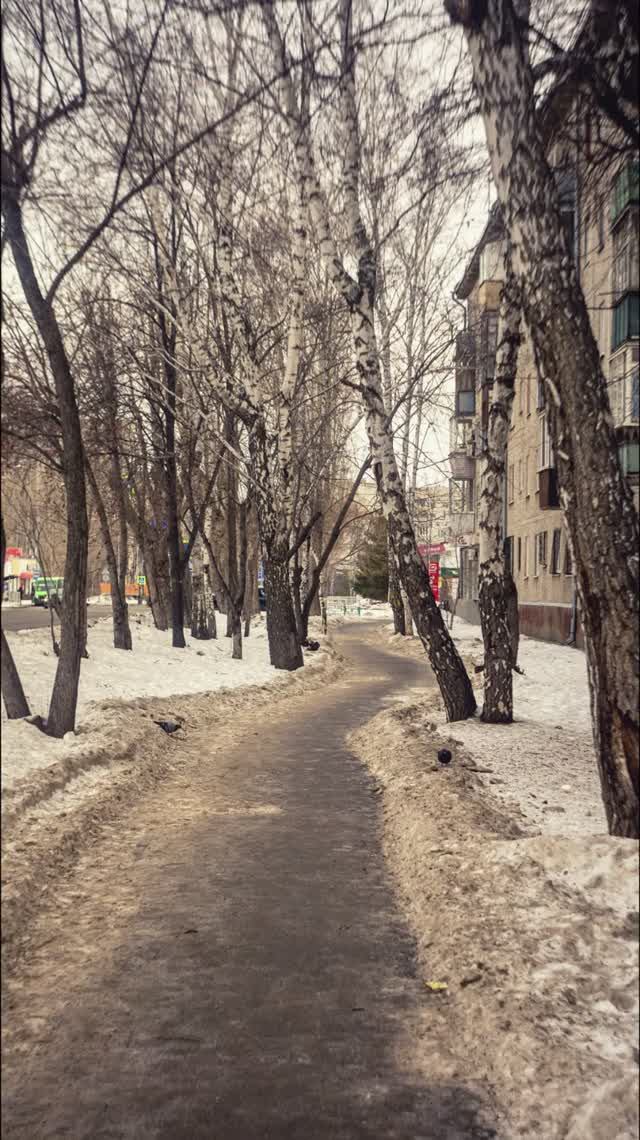 Sony NEX-5 + Т-43 от Смена-8м
