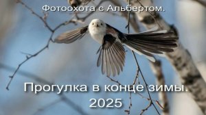 Фотоохота с Альбертом. Прогулка в конце зимы. 2025