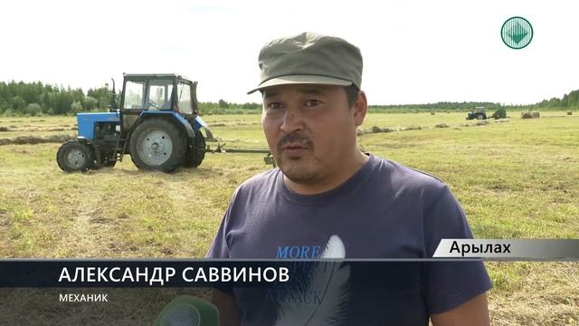 В совхозе «Новый» идет заготовка сена смотреть онлайн