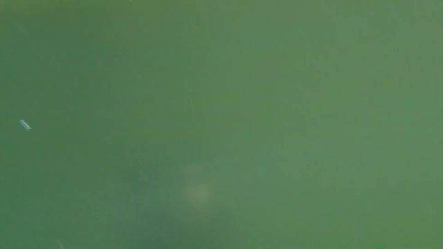 2024 смотреть онлайн