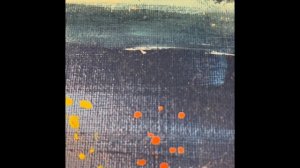 Э.Золя « Дамское счастье « аудио книга -1