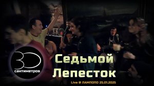 30 сантиметров | 7 лепесток | Hi-Fi | Cover Live Unplugged Video