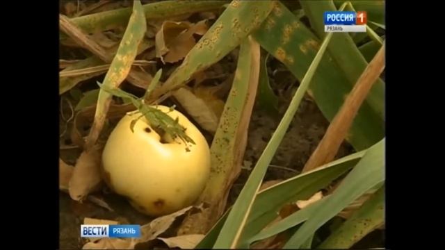 Безотходное производство смотреть онлайн