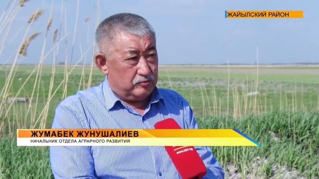 В Чуйской области полным ходом идут весенне-полевые работы. Фермеры день и ночь сеют семена