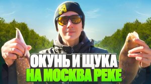 Удачно открыл 2025 год со Спиннингом на Москва-реке