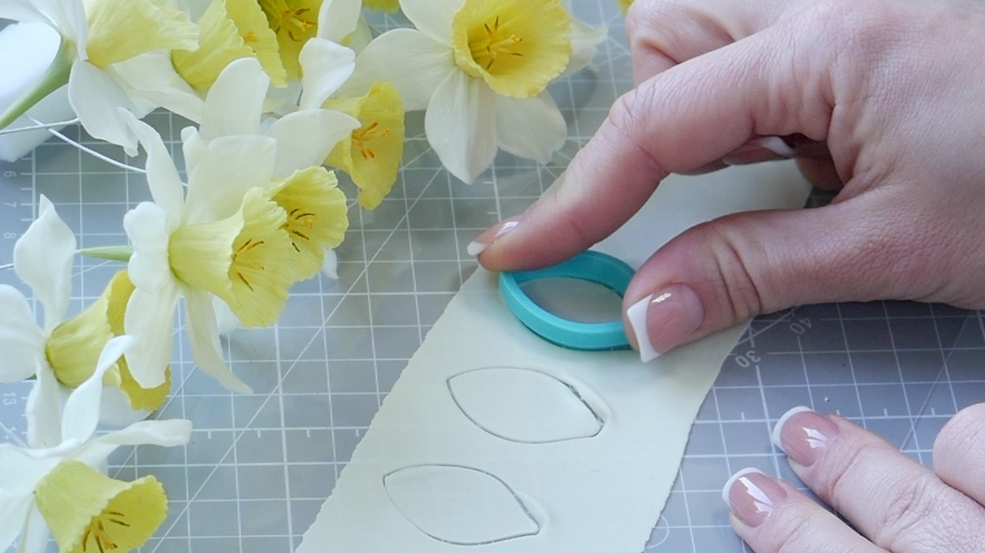 Оживляю лепестки нарцисса