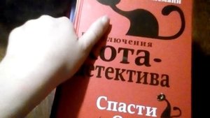 Приключения кота детектива **не все части**