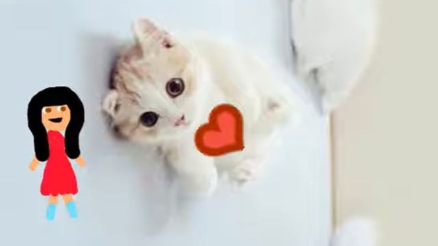 Мой котик смотреть онлайн