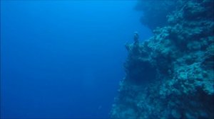 Dahab Bells to Blue Hole -  Diving with Gopro Hero 4 Silver plus Red Filter