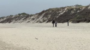 Куршская коса в мае 2024г., Высота Эфа, Зеленоградск.