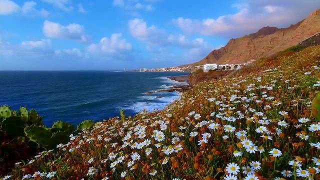 Beautiful relaxing music, stress relief, calming, meditation and relaxation.. смотреть онлайн