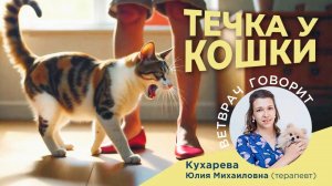Течка у кошки: Что делать?