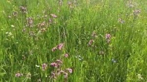 село Байловка