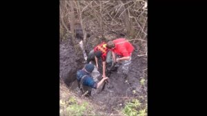 Родники, вы мои родники!