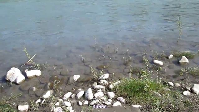 Река Шахе Головинка май смотреть онлайн