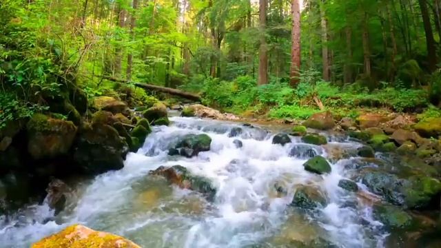 классическая музыка для приятного отдыха после тяжёлого рабочего дня. смотреть онлайн