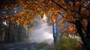 ПРЕКРАССНАЯ,УТРЕННЯЯ МУЗЫКА.ПОЗИТИВНАЯ ЭНЕРГИЯ.МЕДИТАЦИОННАЯ МУЗЫКА ДЛЯ ПРОБУЖДЕНИЯ.