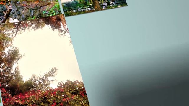 Стамбул. Осенний парк./ İstanbul. Sonbahar. смотреть онлайн