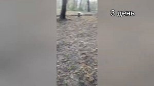 1 СЕРИЯ(Строим Даунхилл Трассу)