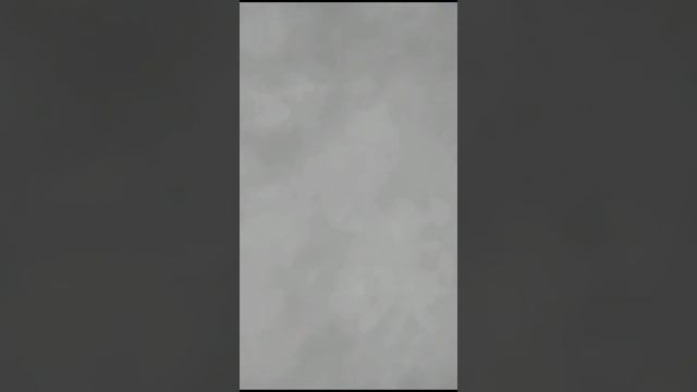 Голос Утки Кряквы