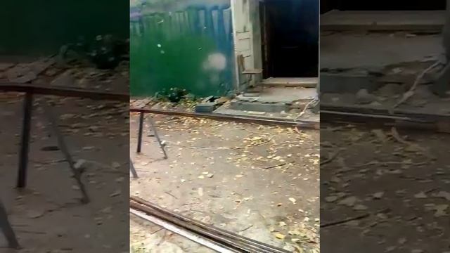 Это моя новаяработа