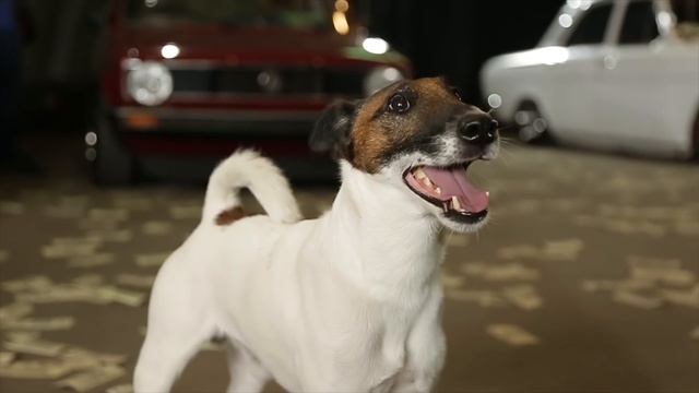 Foxter Vlog: Фокстер на Куражі Реп Шмеп Йо смотреть онлайн