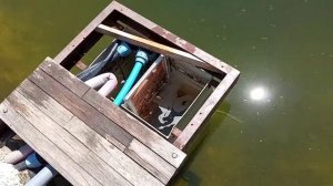 Самодельный скиммер с регулировкой уровня воды .