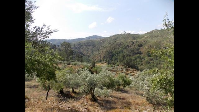 Стихотворения. Римская дорога смотреть онлайн