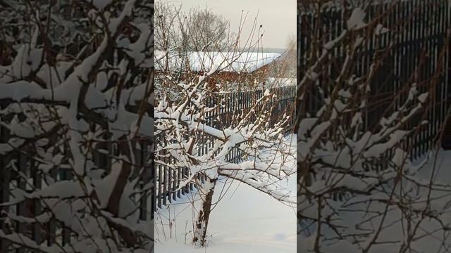 Снежное утро в деревне