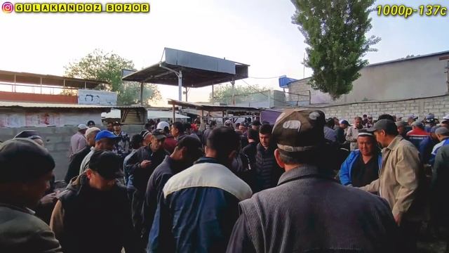 Гулакандоз Шанба Молбозори.29.04.2023.