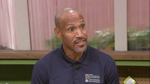 QA  Why are my burning bushes nandina losing their leaves?