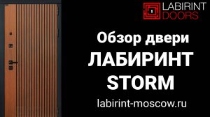 Входная дверь Лабиринт STORM | Шторм
