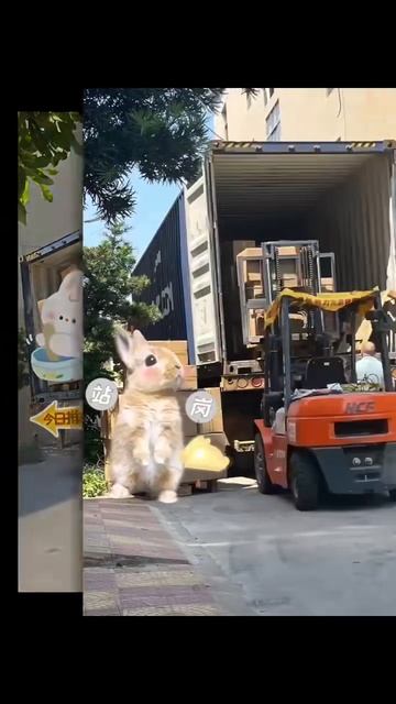 Faucet Container Loading смотреть онлайн