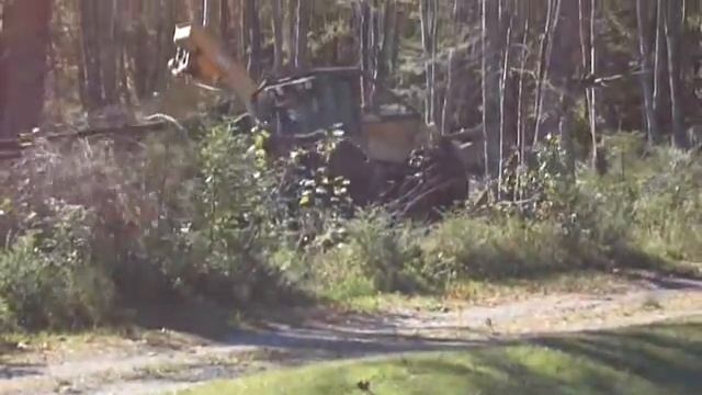 Skidder Comes For Another Load