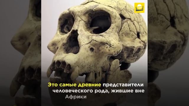 Удивительные факты о Грузии смотреть онлайн