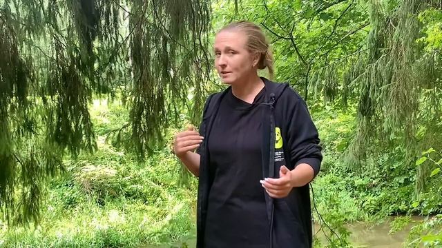ЛАНДШАФТНЫЕ БАЙКИ. Много жути и юмора про дизайн. Истории из моей ландшафтной практики #сад #дизайн