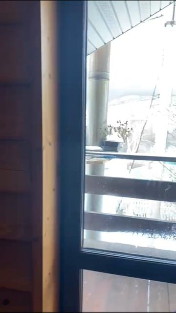 WhatsApp Video 2025-03-12 at 16.11.42