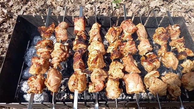 Dima on a barbecue in nature) Дима на шашлыках . смотреть онлайн