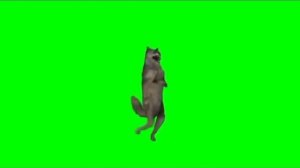 Танцующий волк 🐺 тренд 2023🔥#ихвильнихт#тренды#танцы#волкстанцем#