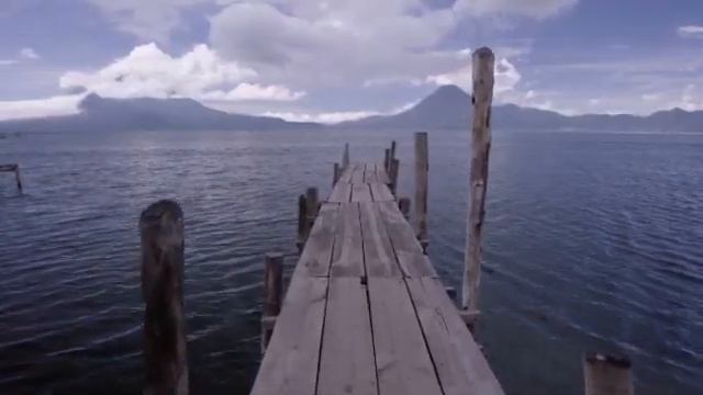 Premiere Rush, Premiere Pro, and Adobe Media Encoder